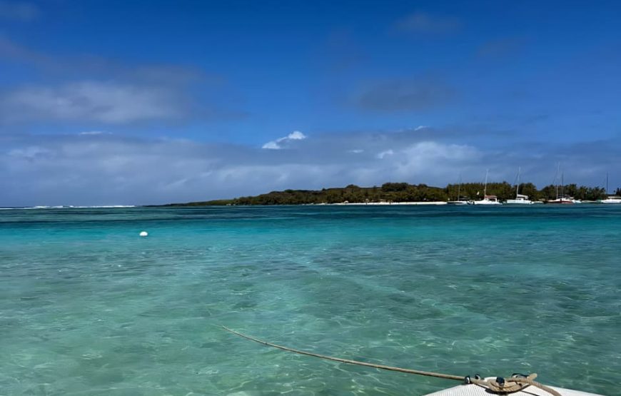 Swim with Turtles – Half Day (09:00–12:00) Private