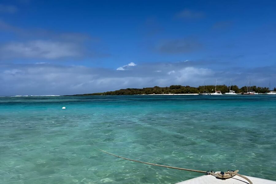 Swim with Turtles – Half Day (09:00–12:00) Private