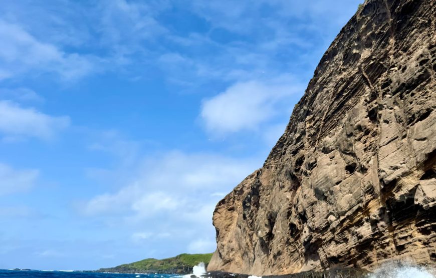 Swim with Turtles – Half Day (09:00–12:00) Private