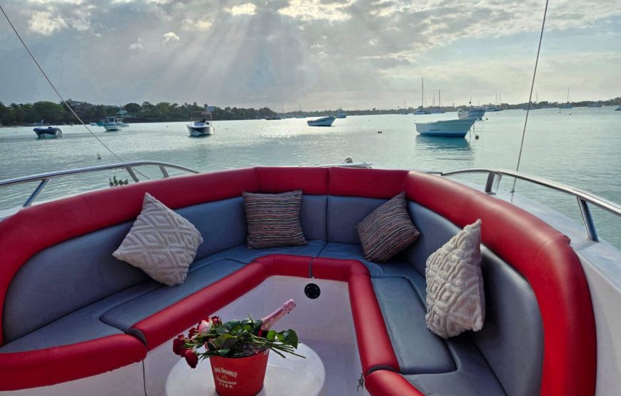 Swim with Turtles – Half Day (09:00–12:00) Private